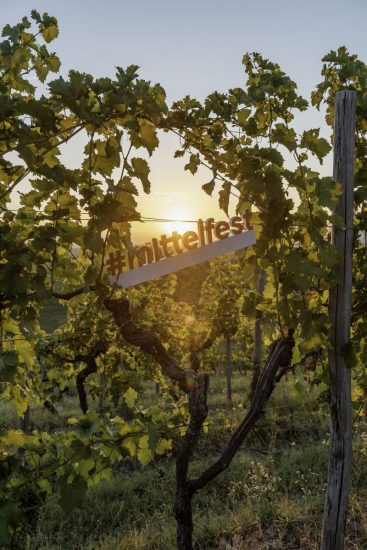 Anche il vino a “Mittelfest” a Cividale del Friuli. Ph: Zorzettig