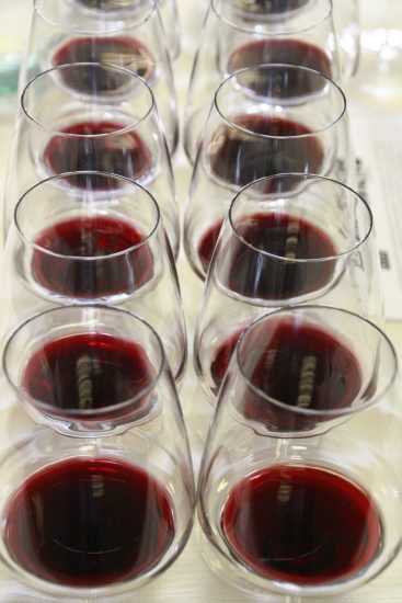 Montalcino, verso un nuovo corso per il Rosso