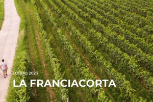 I Quaderni di WineNews - La Franciacorta
