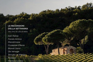 I Vini di WineNews - N. 266