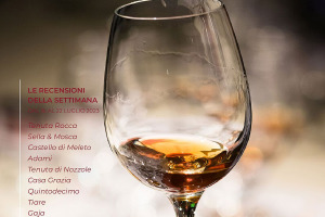 I Vini di WineNews - N. 267