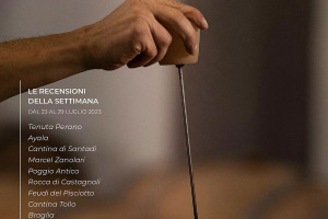 I Vini di WineNews - N. 268