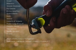 I Vini di WineNews - N. 269