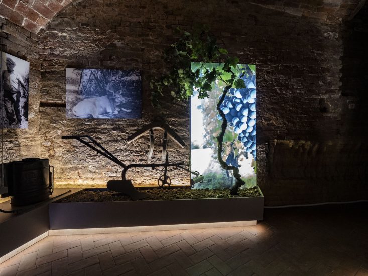 Expo del Museo del Ruchè