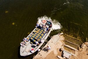 C’è chi è in vacanza e chi... vendemmia: dalla Sicilia alla Franciacorta i primi grappoli in cantina