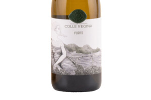 Colle Regina, Colli Trevigiani Igt Bianco Forte 2020