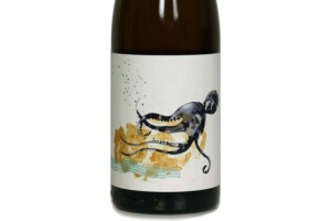 Formiche, Doc Costa dell’Argentario Ansonica 2021