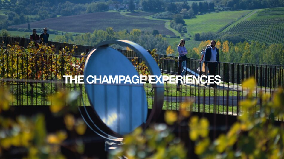 I “The Golden Vines Awards”