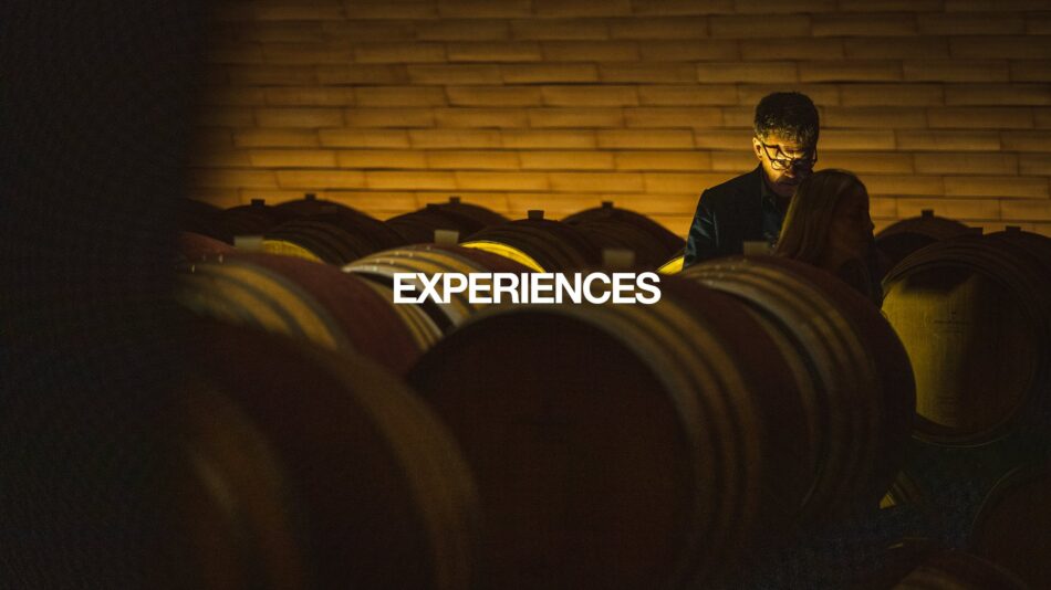 I “The Golden Vines Awards” 2023 a Parig