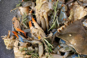 Il granchio blu, da “invasore” delle coste del Mediterraneo a “risorsa” in cucina