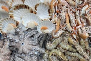 In estate si mangia pi&ugrave; pesce ma serve attenzione per mantenere la catena del freddo