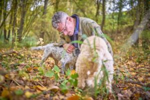 Tartufo, cambiano le regole in Toscana: per la nuova legge regionale “non è un prodotto agricolo”