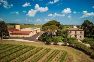 Investire sul futuro e sul potenziale del territorio: la nuova cantina di Re Manfredi, nel Vulture
