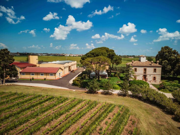 La nuova cantina di Re Manfredi, nel Vulture