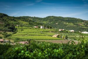 Nel segno delle bollicine, dei Monti Lessini e della Durella: il territorio del Lessini Durello