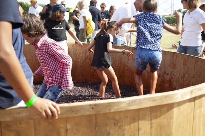 “Vendemmia in Fattoria” alla Fattoria Tellus-Famiglia Cotarella 
