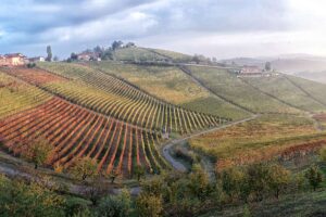 Il Climate Change e la resilienza dei viticoltori europei nel “The Wine Advocate Symposium”