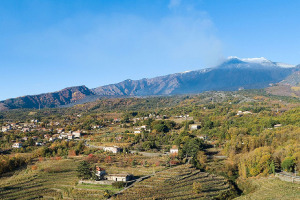 I Quaderni di WineNews - L'Etna