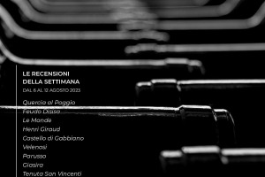 I Vini di WineNews - N. 270