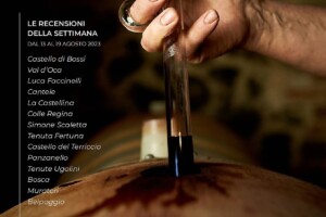 I Vini di WineNews - N. 271