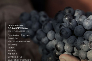 I Vini di WIneNews - N. 272