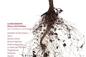 I Vini di WineNews - N. 273