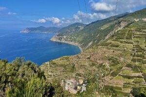 I 50 anni della Doc Cinque Terre e il futuro di un territorio che non è solo turismo, ma agricoltura I 50 anni della Doc Cinque Terre e il futuro di un territorio che non è solo turismo, ma agricoltura