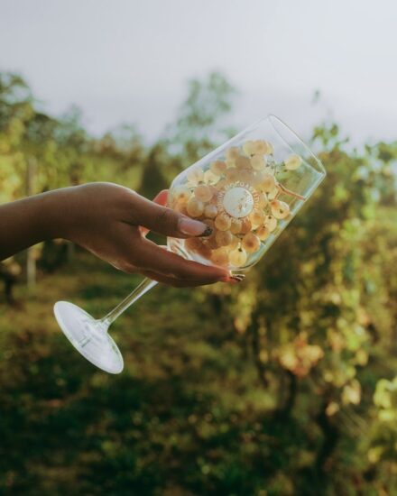 L’Asti in vendemmia si racconta ai media e alla “Douja d’Or” ad Asti
