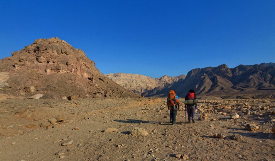 Israele riscopre le antiche varietà del deserto del Negev