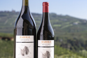 Dalle Langhe a Londra e New York, e con gli assaggi da botte in cantina, ecco “Barolo en primeur” Dalle Langhe a Londra e New York, e con gli assaggi da botte in cantina, ecco “Barolo en primeur”