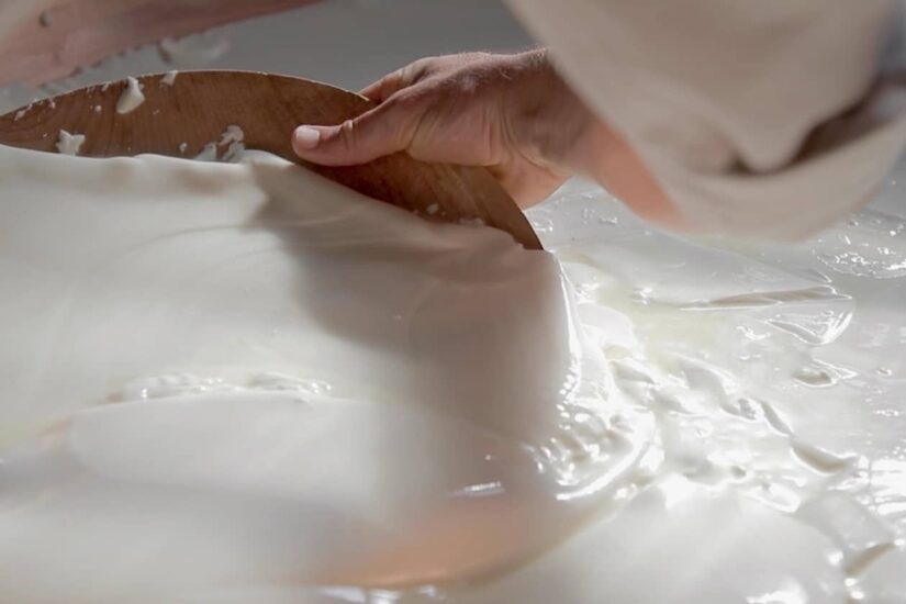 “Caseifici Open Day” nei caseifici di tutta Italia