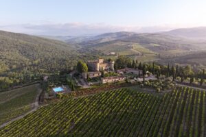 Alberi e boschi, alleati naturali per il futuro della vite, tra climate change e biodiversità