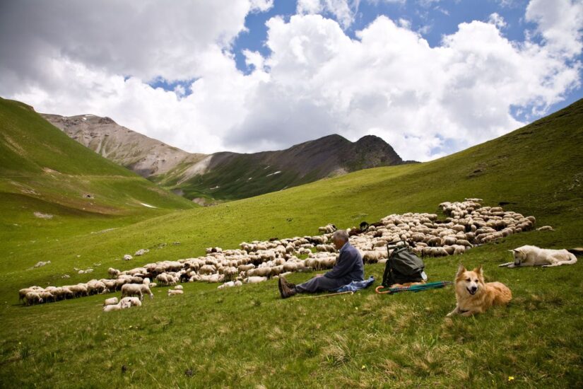 Credit: Paolo Andrea Montanaro