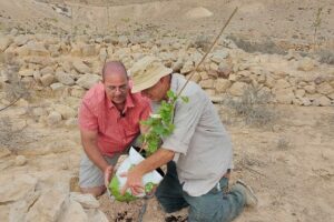 In Israele le antiche variet&agrave; del deserto del Negev tornano a nuova vita grazie alla ricerca sul Dna