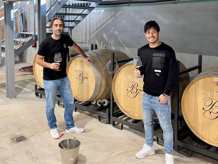 David Silva, dal calcio a Bodegas Tameran, in Gran Canaria