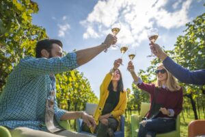 La Franciacorta, territorio giovane ma di storia antica, nato da una visione imprenditoriale La Franciacorta, territorio giovane ma di storia antica, nato da una visione imprenditoriale
