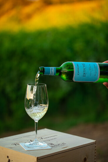 La Malvasia prodotta a Capofaro da Tasca d’Almerita 