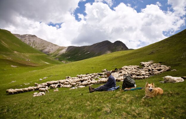 AGRICOLTORI, Coldiretti, ETTORE PRANDINI, MONTAGNA, Non Solo Vino