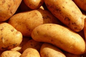 Piatto povero a chi? La produzione nazionale crolla e il costo delle patate va alle stelle