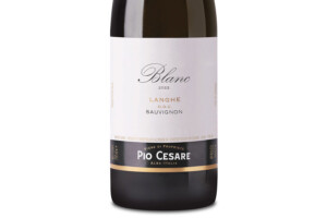 Pio Cesare, Doc Langhe Sauvignon Blanc 2022