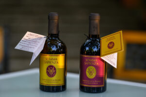 Il vino da record con 155 vitigni: dall’Orto Botanico di Roma nasce “Somma Sapienza”