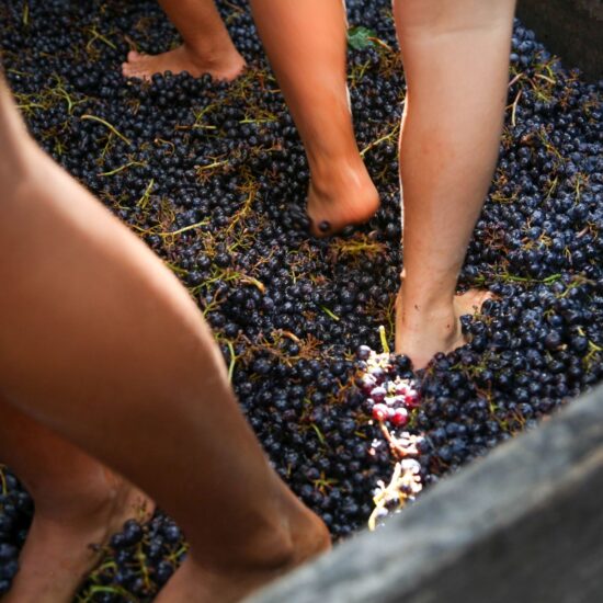 “Serralunga Day” e “Festa della Vendemmia” a Fontanafredda nelle Langhe