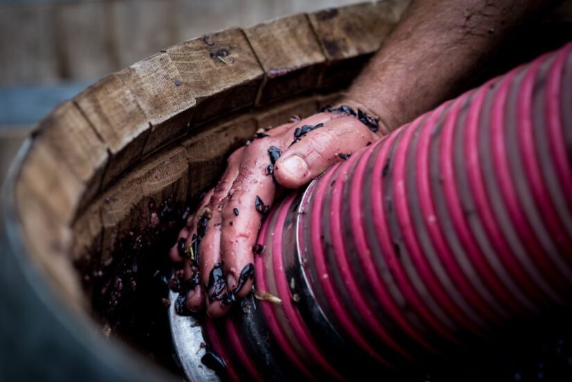 “Vino al Vino” a Panzano in Chianti per la vendemmia del Chianti Classico