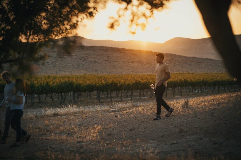 Israele riscopre le antiche varietà del deserto del Negev