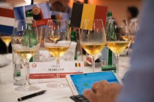 Concours Mondial de Bruxelles: Grand Gold Medal to Bragagnolo (Piedmont) and Santadi (Sardinia) Concours Mondial de Bruxelles: Grand Gold Medal to Bragagnolo (Piedmont) and Santadi (Sardinia)