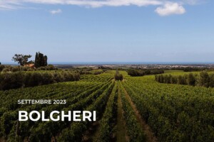 I Quaderni di WineNews - Bolgheri