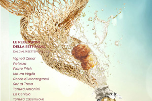 I Vini di WineNews - N. 274