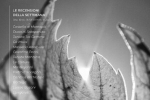 I Vini di WineNews - N. 275