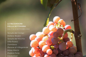 I Vini di WineNews - N. 276