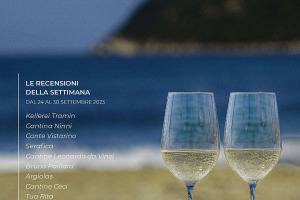 I Vini di WineNews - N. 277